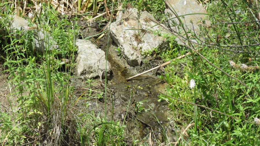 Commercial Property for Sale in Worcester Rural Western Cape